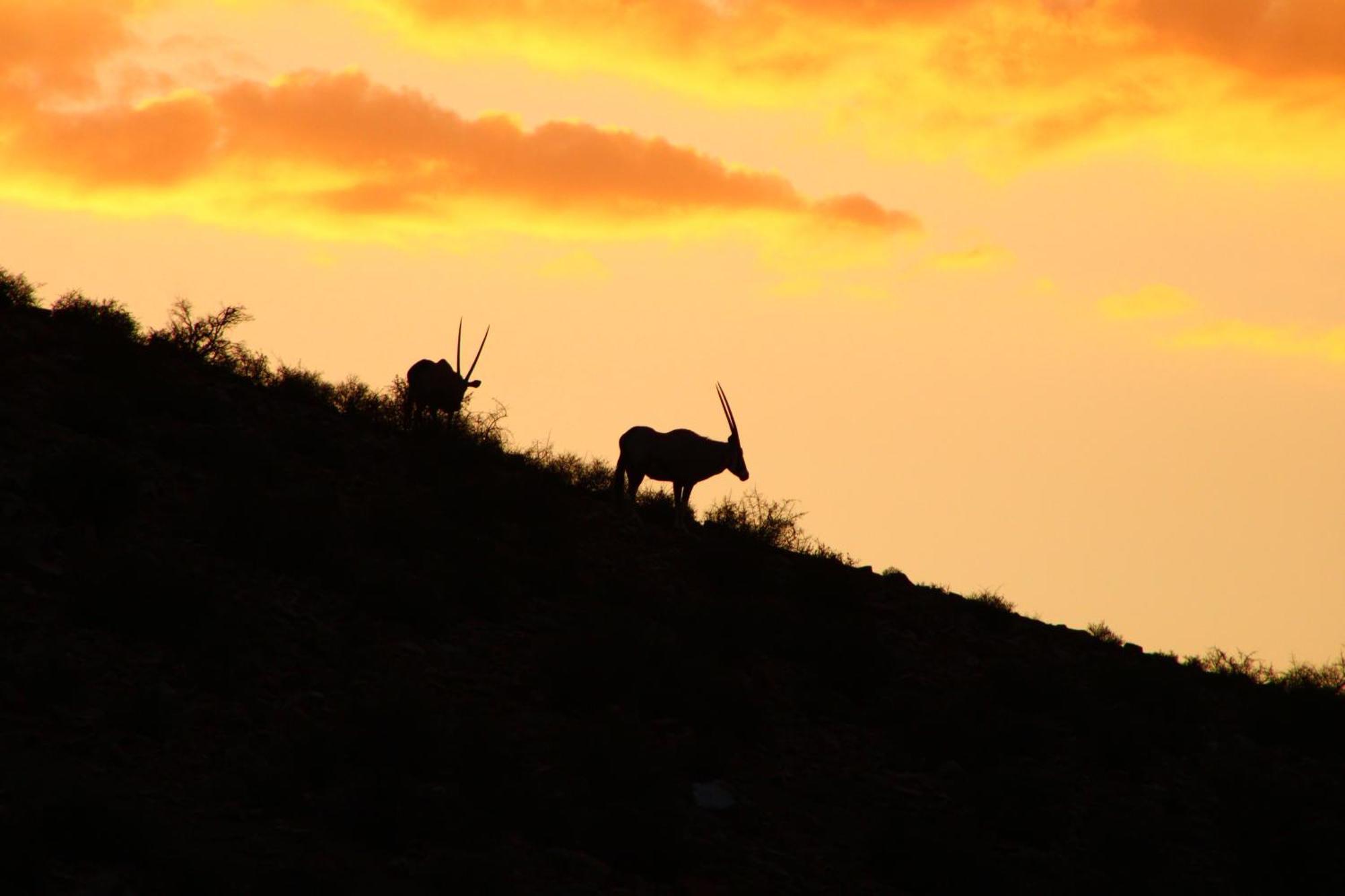 Bosch Luys Kloof Nature Reserve レディスミス エクステリア 写真