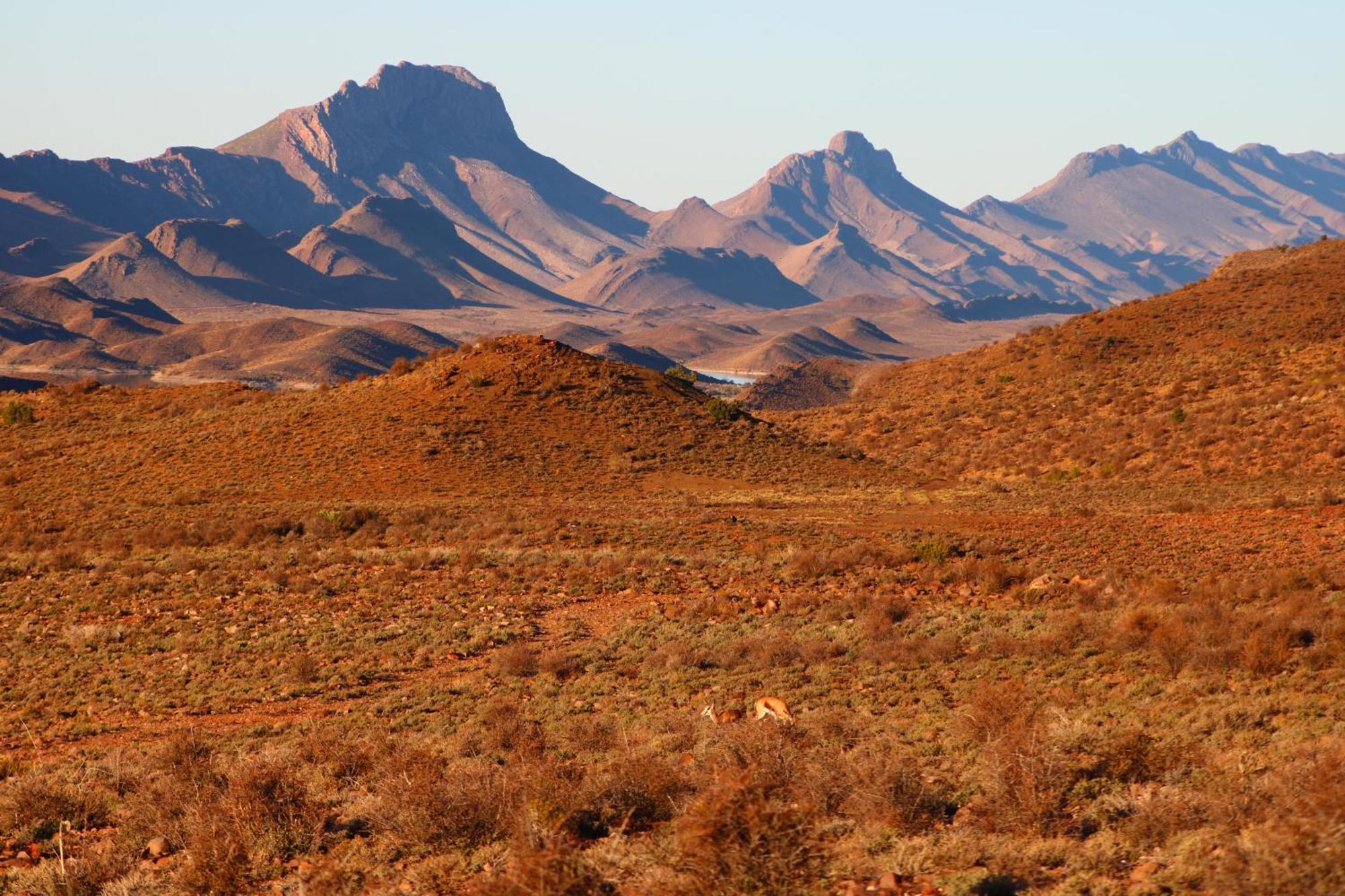 Bosch Luys Kloof Nature Reserve レディスミス エクステリア 写真