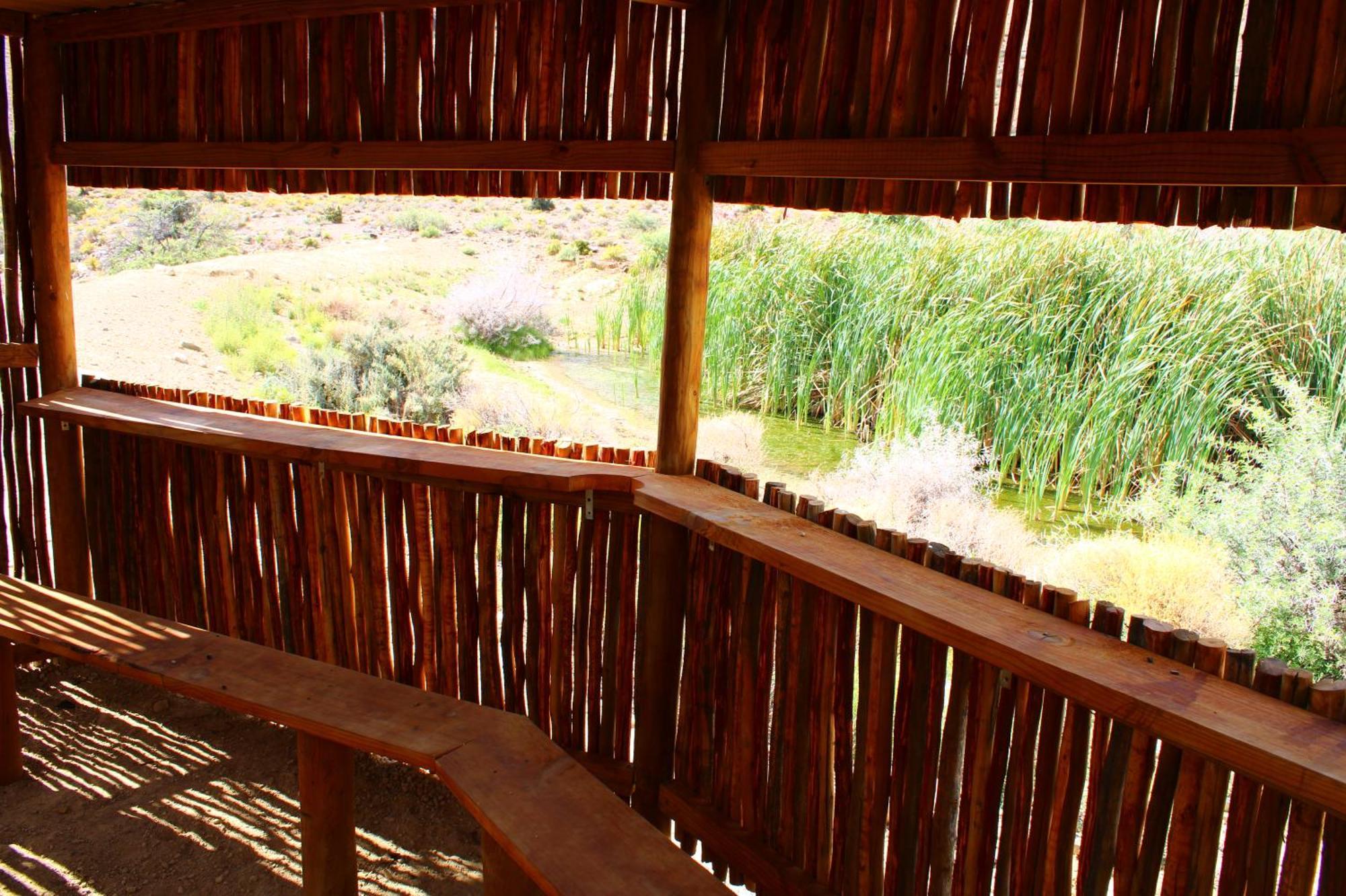 Bosch Luys Kloof Nature Reserve レディスミス エクステリア 写真